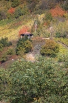 Weinprobe_20211016_053