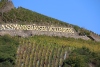 Weinprobe_20211016_054