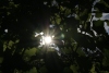 Weinprobe_20211016_074