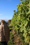 Weinprobe_20211016_075