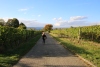 Weinprobe_20211016_077