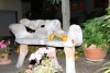 Weinprobe_20211016_108