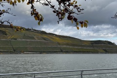 Weinprobe_20231111_01