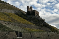 Weinprobe_20231111_06