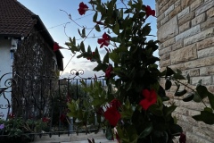 Weinprobe_20231111_24