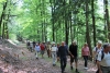 Wanderung_20190526_19